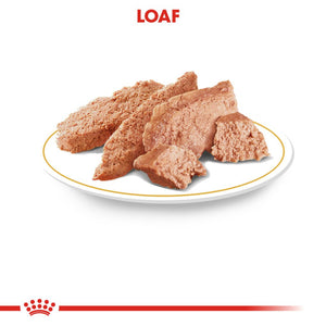 Royal Canin Shih Tzu Pouches - RSPCA VIC