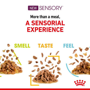 Royal Canin Sensory Taste Jelly 85g x12 - RSPCA VIC