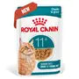 Royal Canin Ageing 11+ Gravy 85gx12