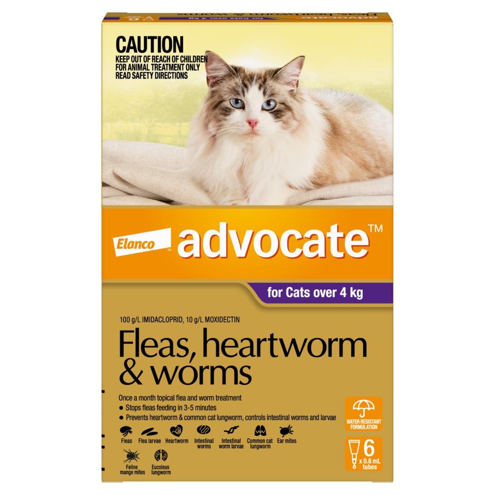Advocate Flea, Heartworm & Worm Treatment for Cats Over 4kg 6 Months - RSPCA VIC