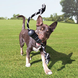 KONG Extreme Dog Dental Toy Lge - RSPCA VIC