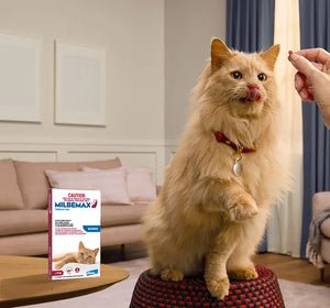 Milbemax Cat 2-8kg