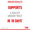 Royal Canin Feline Urinary Care Jelly Pouches