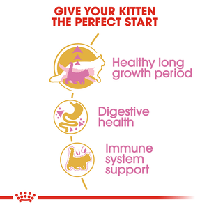 Royal Canin Feline Maine Coon Kitten