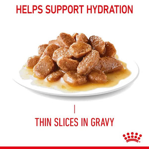 Royal Canin Feline Appetite Control Gravy Box