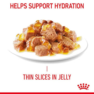 Royal Canin Feline Appetite Control Jelly Box
