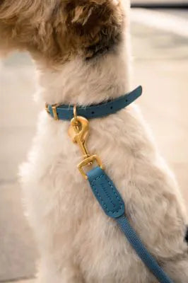 FuzzYard Life Atelier Dog Collar - French Blue