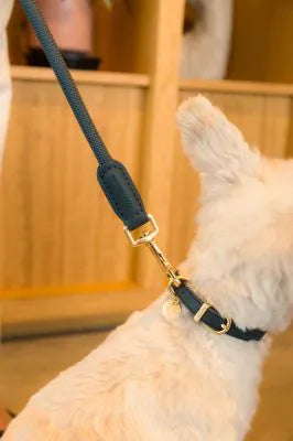 FuzzYard Life Atelier Dog Collar - Slate Grey