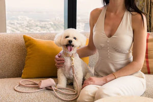 FuzzYard Life Atelier Dog Rope Lead - Soft Blush