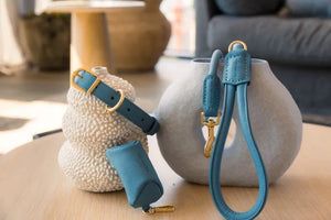 FuzzYard Life Atelier Dog Rope Lead - French Blue