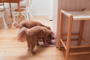 FuzzYard Life Silicone Feeding Mat