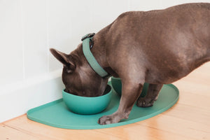 FuzzYard Life Silicone Feeding Mat