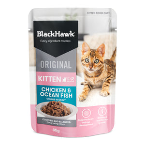Black Hawk Kitten Chicken & Ocean Fish gravy 85gx12