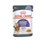 Royal Canin Appetite Control Care Jelly 85gx12