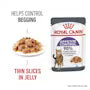 Royal Canin Appetite Control Care Jelly 85gx12