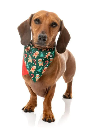 FuzzYard Christmas Bandana - Jolly Gingerbread & Canes