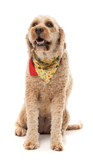 FuzzYard Christmas Bandana - Outback Wonderland