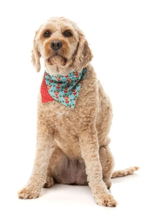 FuzzYard Christmas Bandana - Blitzen Blizzard