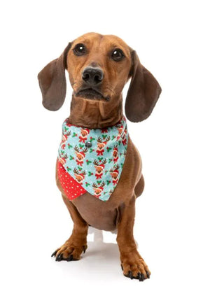 FuzzYard Christmas Bandana - Blitzen Blizzard