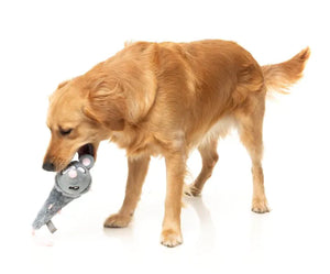 FuzzYard Rack Off Rat - Dog Toy