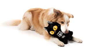 FuzzYard Halloween Dog Toy Skelekitty