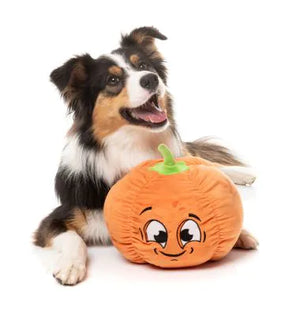 FuzzYard Halloween Dog Toy Percy Pumpkin - XL