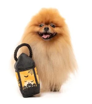 FuzzYard Halloween Dog Toy Eerie Light Up Lantern