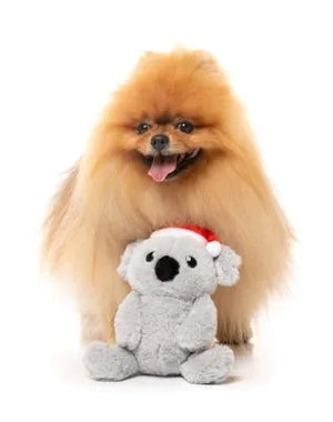 FuzzYard Christmas Dog Toy - Coco Koala