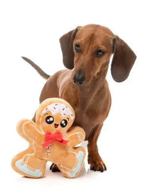 FuzzYard Christmas Dog Toy - Biscuit Blader