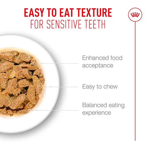 Royal Canin Feline Ageing 11+ Jelly Box