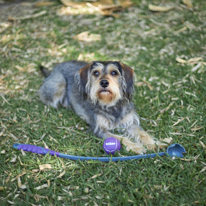 Kazoo Eco-Friendly Ball Thrower