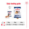 Royal Canin Maxi Adult Loaf Wet Dog Food Can - 410g