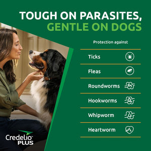 Credelio Plus Large 11-22kg Green - RSPCA VIC