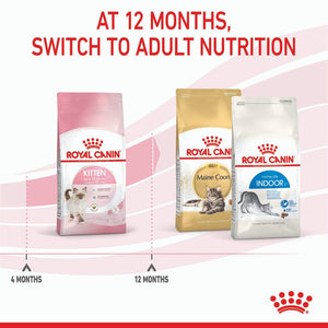 Royal Canin Kitten - RSPCA VIC