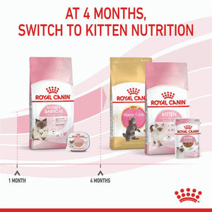 Royal Canin Mother & Babycat - RSPCA VIC