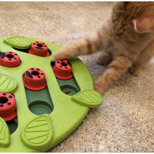 Nina Ottosson Cat Enrichment Puzzle & Play Buggin Out - Green - RSPCA VIC