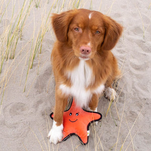 Beco Sindy The Starfish Eco Friendly Rough And Tough Plush Dog Toy - RSPCA VIC