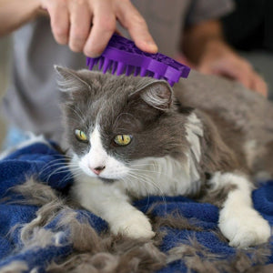 KONG Zoom Groom Cat Purple - RSPCA VIC