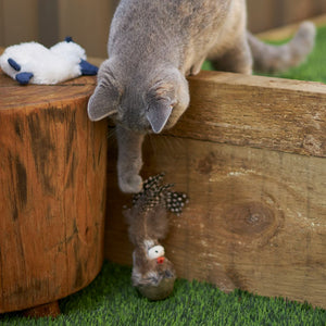 Kazoo Wobble Bird Cat Toy - RSPCA VIC