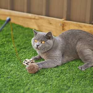 Kazoo Catnip Butterfly Wand Cat Toy - RSPCA VIC