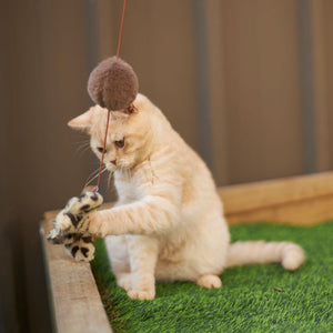 Kazoo Catnip Butterfly Wand Cat Toy - RSPCA VIC