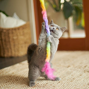 Kazoo Fluffy Rainbow Tail Cat Toy - RSPCA VIC