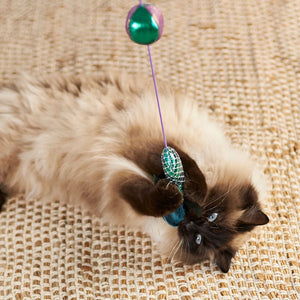 Kazoo Ripple Fish Wand Cat Toy - RSPCA VIC