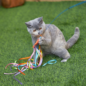 Kazoo Streamer Fish Wand Cat Toy - RSPCA VIC