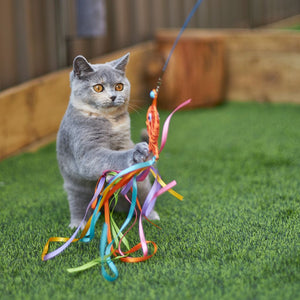 Kazoo Streamer Fish Wand Cat Toy - RSPCA VIC