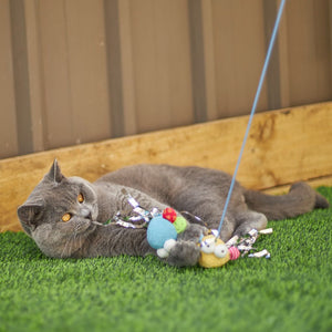 Kazoo Butterfly High Wand Cat Toy - RSPCA VIC