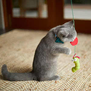 Kazoo Hungry Caterpillar Cat Toy - RSPCA VIC