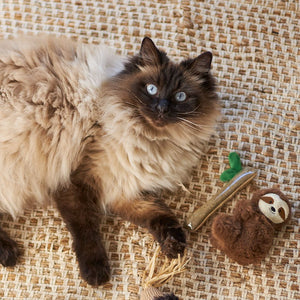 Kazoo Jungle Sloth Cat Toy - RSPCA VIC