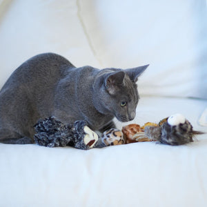 Kazoo Sleepy Sloth Cat Toy - RSPCA VIC