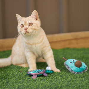 Kazoo Playful Avocado Cat Toy - RSPCA VIC